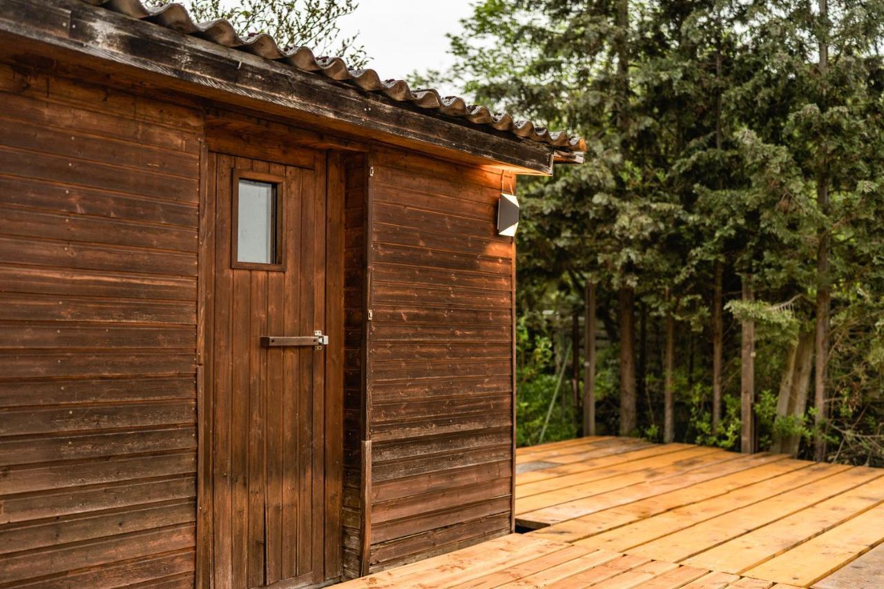 Die Entspannendste Wohnung Am Edersee - Spa Sauna Edertal Bagian luar foto